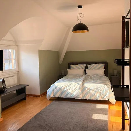 Casa de Férias Am Trollbach - Parkplatz - Wifi - Kueche - Netflix - Freistehendes Haus Münster-Sarmsheim